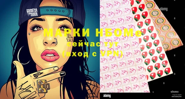 шишки Краснослободск