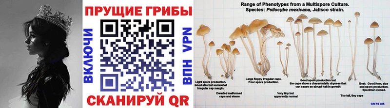 Галлюциногенные грибы мухоморы  Купить где  Щёкино 